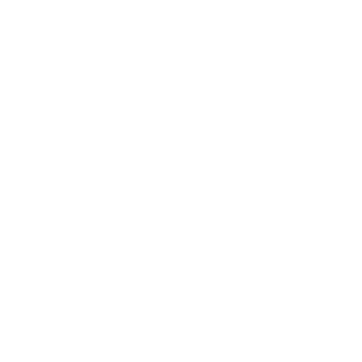 Smaltimento<br>certificato